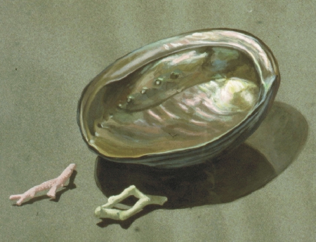 Abalone Shell